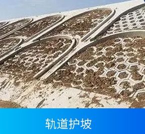 Anchor Agent Equipo de producción con ahorro de mano de obra - Product Image 2