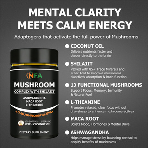 OEM ซื้อสินค้าจำนวนมาก ซอฟต์เจลเห็ดคุณภาพสูง สมาร์ทริวัลสำหรับสมองคนยุคใหม่ ช่วยเพิ่มสมาธิ เสริมภูมิคุ้มกัน ต้านอนุมูลอิสระ - Product Image 3