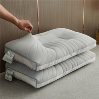 Direct Fabricants : Coussin de nuque moderne pour le sommeil, avec noyau 3D en alternative au latex, en tissu solide brodé, en soie glacée respirante, thérapeutique