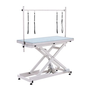 <span class=keywords><strong>Table</strong></span> de toilettage pour animaux de compagnie avec éclairage LED réglable, hydraulique, rotative, électrique, pour chiens - Product Image 1
