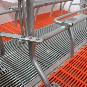 Cages pour porcs, stylo de mise bas pour porcelets avec plancher à lattes en plastique pour pépinière de bétail - Product Image 4