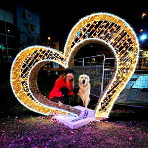 ไฟตกแต่งรูปหัวใจ LED สำหรับภายนอกอาคาร ใช้ในเทศกาลคริสต์มาส รูปแบบ 3 มิติ เหมาะสำหรับตกแต่งลานสวน งานเทศกาลต่างๆ - Product Image 1