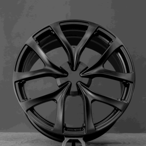 プレミアム品質テスラモデルYパフォーマンスの21インチホイールすべて