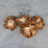 Offre Spéciale Plumes de Coq Rouge Naturelles de 4-6" et 6-8" pour la Pêche, la Confection de Mouches, l'Artisanat et la Décoration