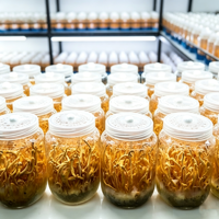 Poudre d'extrait de Cordyceps Militaris personnalisée OEM sous marque privée – Extrait naturel de Cordyceps en poudre de champignon