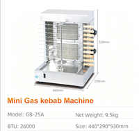Machine à kebab/shawarma mini en acier inoxydable de qualité alimentaire, avec gril rotatif et certification CE