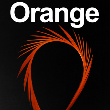 Naranja (10 piezas)