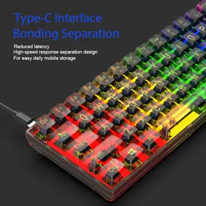 68 Keys Usb Led Rgb Backlight Taclados Computer Keyboards Transparent Gaming Mechanical Keyboard For Gamer