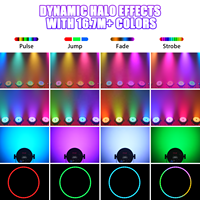 200W sans ventilateur silencieux scène Par Lights DMX512 4 en 1 RGBW LED Par Lights avec ouverture dynamique RVB pour événements mariage Bar Party