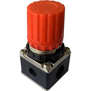 Régulateur de remplacement pour compresseurs CARDINALE pour les codes 0077202 et 0077204 - Product Image 2