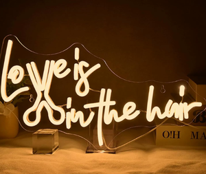 Insegna Luminosa LED a Forma di Cappello da Cowboy e Chitarra in Acrilico HFBH, Classificazione IP65, per Decorazione Casa, Feste, Auto, Strumenti Musicali - Product Image 3