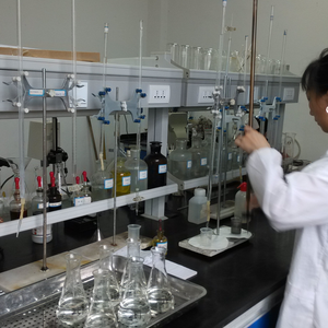 Poudre de CMC à haute viscosité, carboxyméthylcellulose sodique, additif <span class=keywords><strong>anti</strong></span>-crépation des pigments pour peinture architecturale à base d'eau - Product Image 6