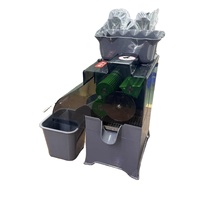 Commerciële Automatische Citroenpers 60-80kg/u Hoge Opbrengst Citruspers Machine NS2000E-6