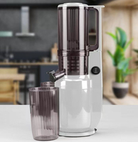 Mesin Pembuat Jus Mini Kompak Cold Press 250W Bersertifikat CE ROHS, Mulut Besar, Kecepatan Rendah, Pisau Plastik, Bahan Food Grade untuk Buah