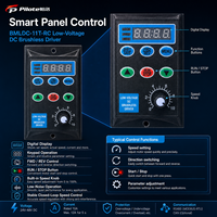 Contrôleur de moteur BLDC basse tension Palo 11T-DC24V-48V 240W-480W Protection IP54