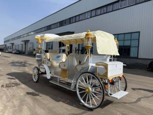 Carruaje real clásico de lujo de gama alta blanco personalizado con aire acondicionado/carro eléctrico de turismo europeo - Product Image 5