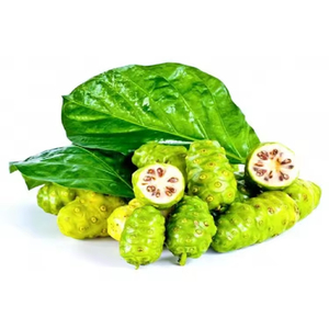 供应纯天然饮料粉诺丽果汁粉99% 诺丽粉 - Product Image 5