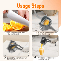 Daosheng China Lage Prijs Huishoudelijke Aluminium Handleiding Gemakkelijk Schoon Te Maken Citroen Juicer Fruit Squeezer Groentesapcentrifuge