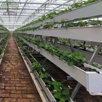 Gouttière de culture en PVC pour fraises, pour système hydroponique en serre