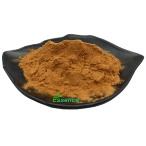 ホーソーン果実エキス10:1ホーソーンベリーエキス粉末 - Product Image 2