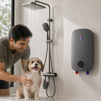 Chauffe-eau électrique sans réservoir 6KW mural à chauffage instantané avec contrôle de température réglable