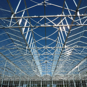 Hướng Dẫn Xây dựng thiết kế kỹ thuật nhà kính nông nghiệp mở hoàn toàn - Product Image 2