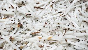 CD-800 Erdbeer-, Kartoffel-, Tomaten-Schneider und Würfelschneider für Erdbeeren, Kokosnuss und Zwiebeln - Product Image 4