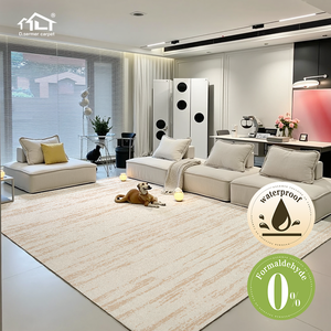 Tappeto Moderno di Lusso Dsermer, Morbido Tappeto per Soggiorno, Grande Tappeto Decorativo per Casa - Product Image 1