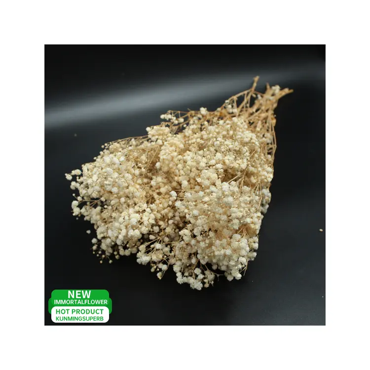 Factory hot sale dried flowers white preserved baby breath babies breath preserved