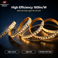 Bande lumineuse LED 2835 24V 176 LED/m CRI>83 160lm/W Haute luminosité Bande LED flexible pour la décoration de projets intérieurs