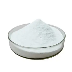 Food/Feed Fresh-Keeping Agent Calcium Propionate Granular Competitive Price CAS 4075-81-4