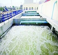Coagulant industriel jaune PAC (Polyacrylamide) pour le traitement des eaux usées des mines, de l'impression et de la teinture