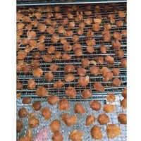 Food Grade Mini Kleine Keuken Thuisgebruik Huishoudelijke Elektrische Vruchten Drogen En Verpakking Machine Fruit Droger Dehydrator Drogen
