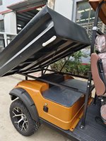 Voiturette de golf électrique 2 places pour usage agricole et équestre, buggy de golf tout-terrain 4 roues avec bac de chargement