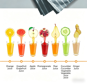 Extracteur <span class=keywords><strong>de</strong></span> jus commercial à froid à large goulot sans découpe pour légumes à fibres dures, ananas, gingembre - Product Image 2