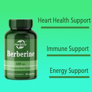 Cápsulas de Berberina de Venta Caliente OEM/ODM para Adultos, Suplementos Herbales, Apoyo Inmunológico, Berberina Pura - Product Image 3
