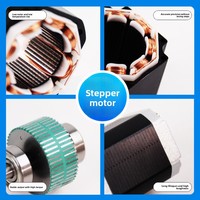 NEMA 11 Hybrid-Schrittmotor 1,8 Grad 2-Phasen Mikro-Präzisions-Elektromotor-Treiber-Kit für Kleinautomatisierung OEM Anpassbar
