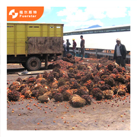 Verse Palmfruitverwerkingsapparatuur/Productielijn/Palmfruitmachine Voor Palmoliemolen