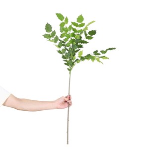 Branche artificielle de Mahonia Fortunei Dream Castle, 100-200 cm, décoration intérieure, verdure pour salon et salle d'exposition - Product Image 4