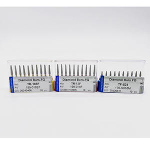 China de alta calidad FG Dental Lab TR19 TR13F TR13EF TFS31 TFS21 SR11 TC10 WR44 <span class=keywords><strong>EX11</strong></span> EX12 CR11EF 847KR16 Diamond Burs Dental Bur - Product Image 4