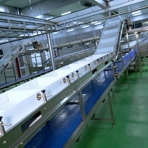 Sistema Automatico di Produzione e Riempimento Polveri Personalizzabile, Linea di Produzione con Nastro Trasportatore Automatico - Product Image 3