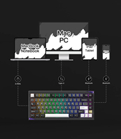 Clavier mécanique AKKO Gem 01 VIA OEM, format 75 %, démontage rapide, prise en charge VIA, batterie 8000 mAh, clavier de jeu magnétique