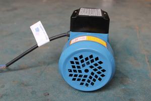 QB60 pompes <span class=keywords><strong>à</strong></span> <span class=keywords><strong>eau</strong></span> 60HZ 110V <span class=keywords><strong>220V</strong></span> double tension Bomba de agua 1/2HP AC électrique périphérique centrifuge <span class=keywords><strong>petite</strong></span> <span class=keywords><strong>pompe</strong></span> <span class=keywords><strong>à</strong></span> <span class=keywords><strong>eau</strong></span> Vortex - Product Image 6