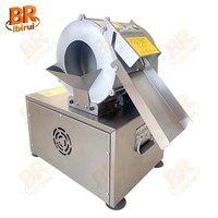 Verstelbare en geschikte snijmachine voor groenteverwerking, crusher, radijs-snijder, knoflook-snijder, wortel-frites snijmachine