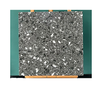 Carreaux de sol en céramique style moderne 60x60 en terrazzo pour revêtement mural intérieur pour salle de bain et cuisine
