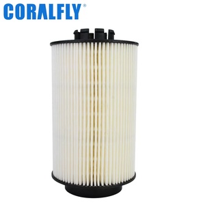 Filtre à carburant de haute qualité au prix d'usine pour les moteurs diesel de camions, pièces FF5629 P785373 10100613 51125030109 2V5201512 1522291 - Product Image 4