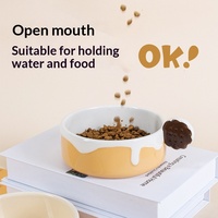 Bols doubles ergonomiques en céramique pour animaux de compagnie avec support de cou surélevé, conception antidérapante et anti-renversement pour petits chats et chiens