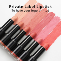 Rouge à lèvres liquide mat waterproof personnalisé en marque blanche, formule sur mesure, commande en gros, maquillage pour les lèvres OEM, fournisseur cruelty-free