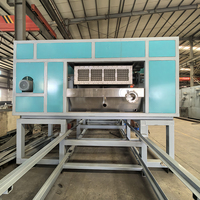 Máquina secadora para fabricar bandejas de huevos de China con componentes clave en oferta: PLC, bomba, rodamientos, caja de engranajes, motor, engranajes