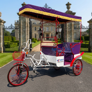 Three-wheeled Steel Sculpture Sightseeing <b>Bike</b> European Vintage Multi-seats Waterproof Leather Seats Customized Low - Product Image 1